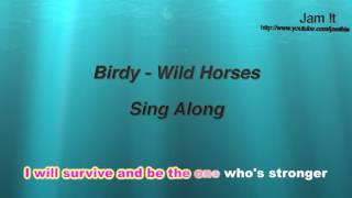 Birdy  Wild Horses Karaoke  Sing Along  Full band instrumental [upl. by Ranie]