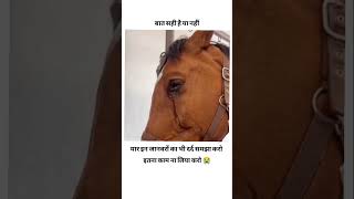 Ye bhi jiv hai itna to mat satao saveanimals dard bedlife verified disclaimer struggle short [upl. by Iridissa13]