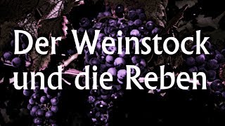 The Vine and the Branches 12 Der Weinstock und die Reben  Paul Washer [upl. by Sheppard883]