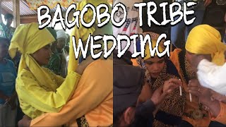 BAGOBO TRIBE WEDDING CEREMONY [upl. by Alaecim]