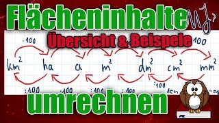 Flächeneinheiten umrechnen  Einfach mit einer Übersicht  Mit Beispielen [upl. by Htedirem]