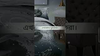 Jokhontumivalovasba maulana asif hujur islamicvideo viral shots [upl. by Mathew241]