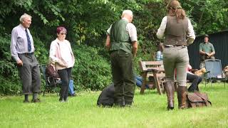 Lincolnshire Gun Dog Tests 26th July 2021 [upl. by Hoffer997]