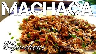 MACHACA MEXICANA [upl. by Leunas]