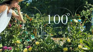 How to Garden in a Heat Wave Resilient Garden TOUR Zone 8a [upl. by Serg694]