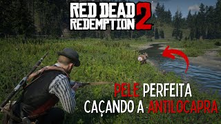 ANTILOCAPRA FÁCIL localização no mapa  Red Dead Redemption 2 COMPÊNDIO 107 [upl. by Llebanna]