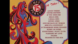 Loves Theme Love Unlimited cover  SPRINGBOK HIT PARADE 15 [upl. by Eipper]