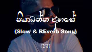 Piyabanna Ahase පියාබන්න අහසේ Slow amp Reverb SongSinhala Song [upl. by Aileek22]