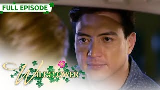 ENG SUB Ep 235  Wildflower  Maja Salvador Tirso Cruz III Aiko Melendez [upl. by Adnal]