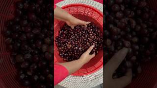 💢Minivlog 39💢december xmas wine viralshort minivlog trending fruit foodie foodlover love [upl. by Norse22]