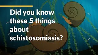 Did you know these 5 things about schistosomiasis [upl. by Eux]