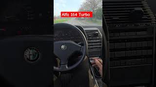 Alfa 164 TURBO assurda  Le auto senza problemi [upl. by Jamilla]