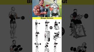 Ultimate Shoulder Workout Only Dumbbells Needed for Massive Gains [upl. by Nylave]