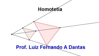 Homotetia  Definição e exemplos [upl. by Licec]