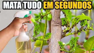 Mata tudo caseiro mata pulgão coconilhas e todas as pragas [upl. by Eninnaj]