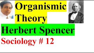 Organismic theory of societyHindiUrduHerbert spencer theory of evolutionSociologydarwinismCSS [upl. by Aniad]