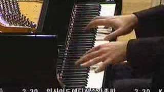 Liszt  Trascendental Etude N10 Berezovsky [upl. by Gnuy]