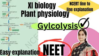 XI bio Glycolysis most easy explanation [upl. by Rooker411]