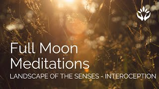 August Full Moon Meditation  Landscape of the Senses  Interoception [upl. by Cudlip]