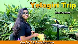 Yelagiri Hills  Yelagiri tourist places  Bangalore to Yelagiri road trip  Trip from Bangalore [upl. by Fendig]