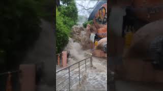 dhareshwar Mahadev ful barish date 5 August 2024dhareshwar mahadev special video viralvideo [upl. by Mchail]