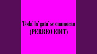 Toa las gatas se enamoran Perreo Edit [upl. by Nnylirret376]