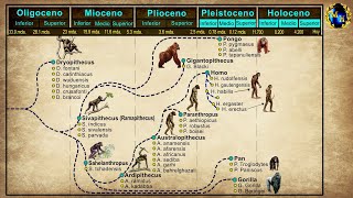 El Proceso de Hominización [upl. by Neret]