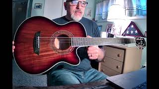 Washburn EA55GA Festival Series Acoustic Electric Guitar Review [upl. by Materse]