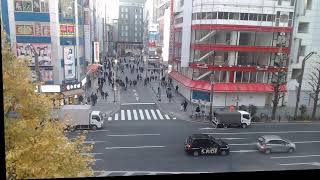 AKIHABARA LIVE CAMERA [upl. by Nyved]