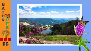 Wandern im Schwarzwald zur Hornisgrinde über den wildromantischen Mummelsee Hornisgrindenpfad [upl. by Ahsyas]