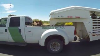 Interstate 10 from Vail to Benson Arizona US Border Patrol 4 Horse Trailer 28 March 2016 GP090937 [upl. by Winona509]