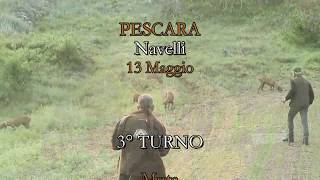 SEGUGI ITALIANI SU LEPRE Ep 29  Trofeo Gildo Fioravanti 2018  CAC su Lepre  Navelli PE [upl. by Varick]