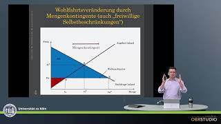 Wohlfahrtswirkung eines Mengenkontingents oder einer quotfreiwilligen Selbstbeschränkungquot [upl. by Ahsyak995]