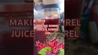 ITS BEGINNING TO LOOK ALOT LIKE CHRISTMAS jamaica sorreldrink sorrel [upl. by Anrak444]