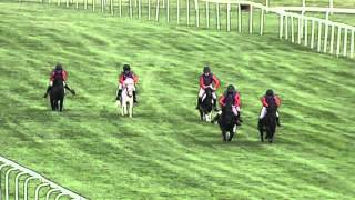 Royal Shetland Pony Race [upl. by Chesna]