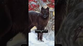 Starks Dire wolves name explained [upl. by Aihsit773]