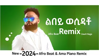 Dawit Nega New Remix Music 2024 Official Video [upl. by Ecinnej543]