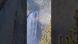 The Lower Lookout Point of Yellowstone Grand Canyon ynp grandcanyon scenicview [upl. by Yelssew]