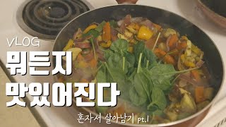 vlog 미국 자취생의 건강하고 맛있는  요리 브이로그 양소식단 [upl. by Ecnal100]