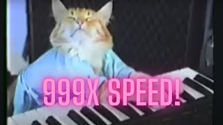 Keyboard Cat Sped Up Version 125102050100999x speed [upl. by Horlacher]