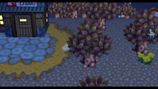 Animal Crossing City Folk on PC [upl. by Michael]