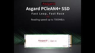 SSD NVME Asgard AN4 PCIe 40 Aliexpress [upl. by Ecnahc]