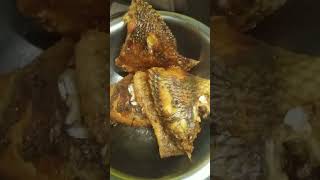 tilapia macher jhol তেলাপিয়া মাছের ঝোল  cooking recipe youtube [upl. by Ymmij]