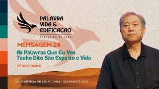 Mensagem 24  As Palavras Que Eu Vos Tenho Dito São Espírito e Vida [upl. by Nored]