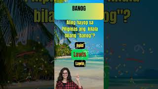 Amazing Pinoy Facts You NEED to Know 🇵🇭  Mga Pinoy Trivia na dapat mong malaman PinoyFacts [upl. by Cassius160]