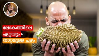 DURIAN FRUIT EATINGMOST STINKY FRUITHOW DURIAN SMOOTHIEPROTEIN SMOOTHIEHOW TO MAKE DURIAN SHAKE [upl. by Parker]