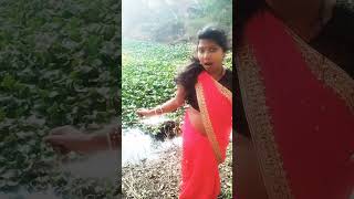 Gana mein saiya simali phool dancemarine khesarilalyadavnewsong2023djmalaimusic [upl. by Sethrida406]