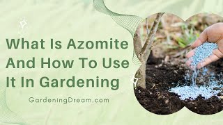 What Is Azomite And How To Use It In Gardening [upl. by Strep]