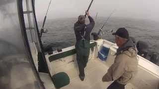 Halibut and Salmon Fishing in Zeballos BC on Vancouver Island [upl. by Mohun]