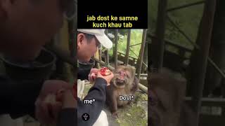 jab dost ke samne kuch khaaun to dost ka expression 🤣 monkey cute funny funnyanimals [upl. by Alledi]